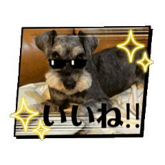 [LINEスタンプ] 富田家のブルー！ fetchpriority=high