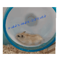 [LINEスタンプ] マロンの挨拶♡ fetchpriority=high