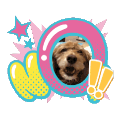 [LINEスタンプ] ぷりんとしぇりのすたんぷ