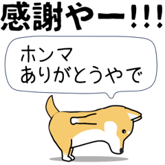 [LINEスタンプ] 激しく尻尾をふる柴犬❤関西弁