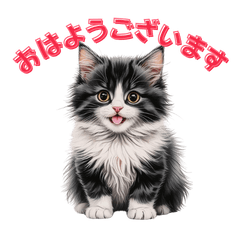[LINEスタンプ] 可愛い子猫のお返事2