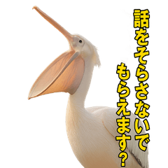 [LINEスタンプ] なかよしどうぶつ図鑑(毒吐くペリカンさん)