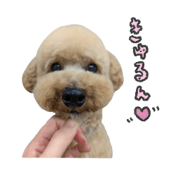 [LINEスタンプ] かわいいタリ