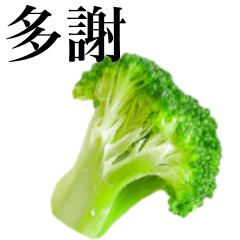[LINEスタンプ] みずみずしいブロッコリー 【台湾語のみ】