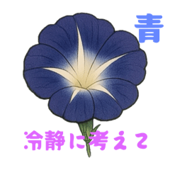 [LINEスタンプ] アサガオことば