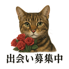 [LINEスタンプ] 【婚活】恋するベンガル猫の恋愛スタンプ