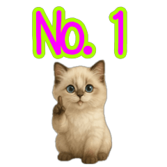 [LINEスタンプ] ラグドール子猫の推し活
