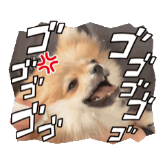 [LINEスタンプ] ぽめもか。 