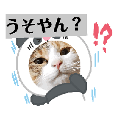 [LINEスタンプ] わらびとつむ 