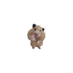 [LINEスタンプ] お歳暮のハムたち 