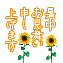 [LINEスタンプ] 【背景が動く 暑中見舞い 夏 サマー】