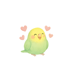 [LINEスタンプ] ゆるふわインコちゃん♡