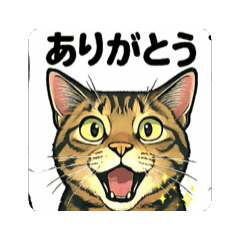 [LINEスタンプ] 大豆ちゃん_猫スタンプ 