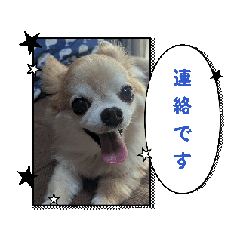 [LINEスタンプ] セレサ2