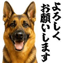 [LINEスタンプ] シェパード★毎日使う敬語集シンプルの画像（メイン）