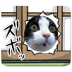 [LINEスタンプ] 風＆レベッカ
