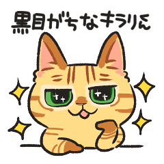 [LINEスタンプ] 黒目がちな猫 キラリ君