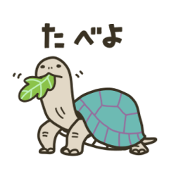 [LINEスタンプ] カメの歩み