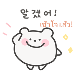 [LINEスタンプ] 韓国語×タイ語 ゆるくま日常 