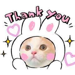 [LINEスタンプ] むぎもちスタンプ