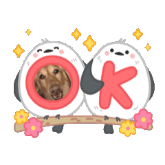 [LINEスタンプ] シニアブラザーず 