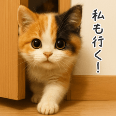 [LINEスタンプ] 毎日使える♪ぬいぐるみ三毛猫スタンプ
