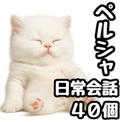 [LINEスタンプ] 日常会話veペルシャ