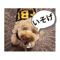 [LINEスタンプ] 黒さきプリン. 