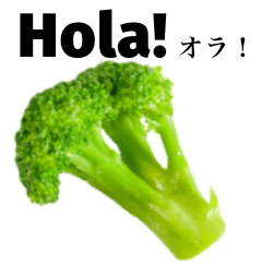 [LINEスタンプ] みずみずしいブロッコリー 【スペイン語】