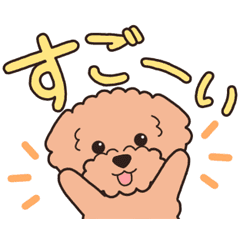 [LINEスタンプ] 『トイプードル』毎日使えるデカ文字．2