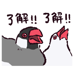 [LINEスタンプ] 文鳥です.
