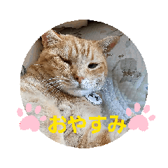 [LINEスタンプ] 片眼のジャック君