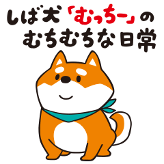 [LINEスタンプ] 毎日むちむち！しば犬「むっちー」の日常