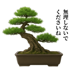 [LINEスタンプ] 盆栽スタンプ【和風＆自然】72