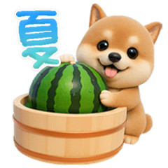 [LINEスタンプ] 豆柴んず♡夏スタンプ