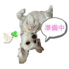 [LINEスタンプ] マルックスのエマさん夏バージョン