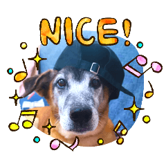 [LINEスタンプ] 優しい老犬チョコじいさん