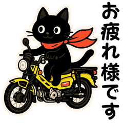 [LINEスタンプ] ネコライダーのカブ主 日常会話 