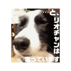 [LINEスタンプ] うごくぞ！りおえりじぇりっかぷん 