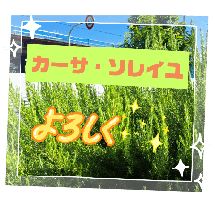 [LINEスタンプ] カ‐サ,ソレイユ