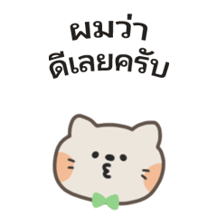 [LINEスタンプ] ポポねこくんのやさしい気遣い｜タイ語 