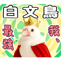 [LINEスタンプ] (自称)我、最強の白文鳥