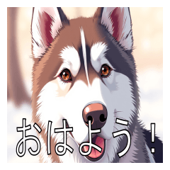 [LINEスタンプ] アラスカンマラミュートがいっぱい