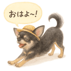 [LINEスタンプ] ふわふわチワワの夏スタンプ