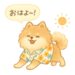 [LINEスタンプ] ぽめのふわふわ夏スタンプ