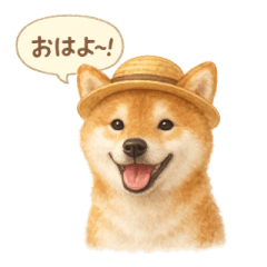[LINEスタンプ] 柴犬の夏だより