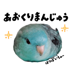 [LINEスタンプ] 石田家のポッケ3