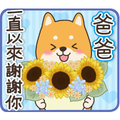 [LINEスタンプ] 父の日＆メッセージ(台湾版)