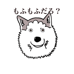 [LINEスタンプ] オオカミ犬ハスキー 