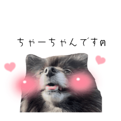 [LINEスタンプ] ちゃぴりる‎´•ﻌ•`